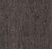 Линолеум Tarkett iq Optima DARK BROWN 0900 фото 1 | FLOORDEALER